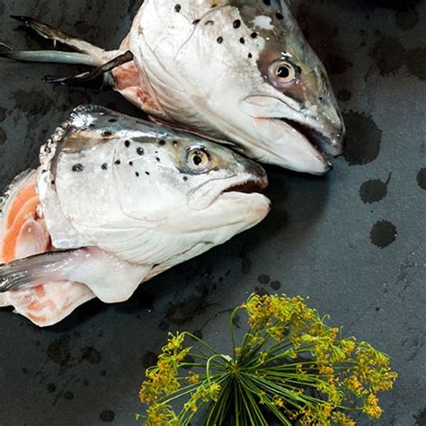 BHJ | Together we create sustainable ingredients and solutions