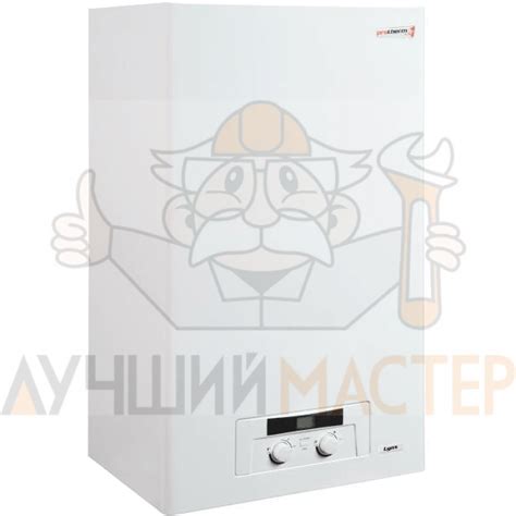 Купить газовый котел Protherm Рысь 28 (Lynx) в Минске