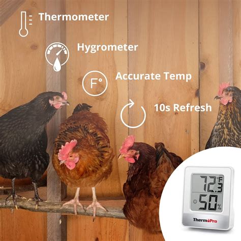 Thermometer/Hygrometer TP49 ThermoPro - Hatching Time