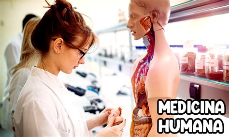 Medicina É Exatas Ou Humanas - ¿Qué incluye la medicina humana como profesión?