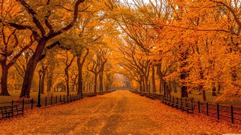 Autumn Landscape Wallpapers - Top Free Autumn Landscape Backgrounds