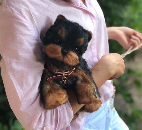 Cute Stuffed Animals That Look Real - Animals World