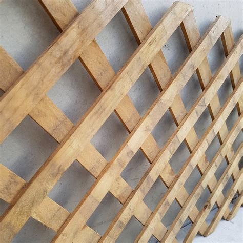 Assorted Lattice - Lifetime Pine