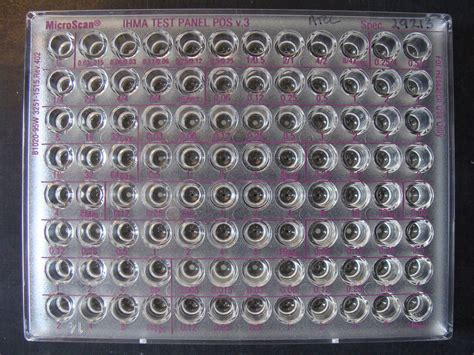 microscan plate microscan microbroth dilution plate   flickr