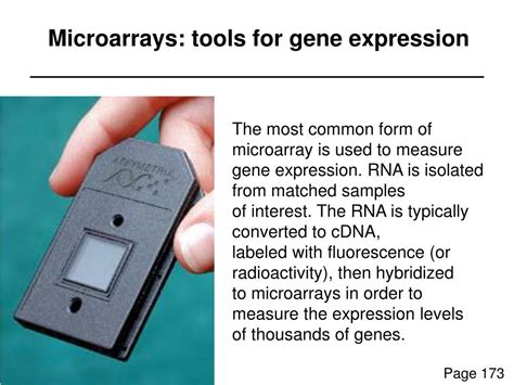 gene expression microarray data analysis powerpoint