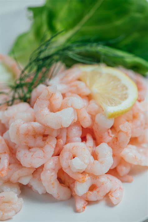 Order — O Y S T E R B L Ø Ø D