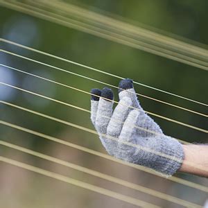 strings palm beach state news