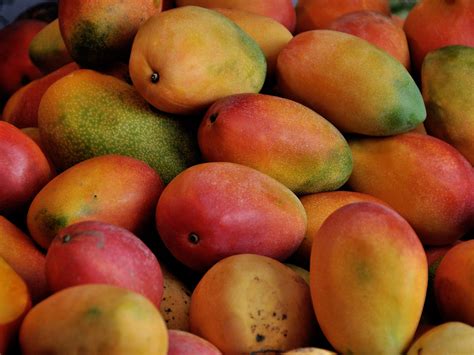 Fruits varieties