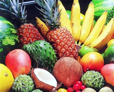 O Que É Frutas Tropicais - Encantos do Piauí: ¤ Frutas Tropicais!