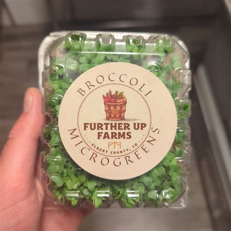 Microgreens – Further Up Farms