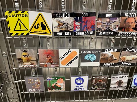 Veterinary Cage Cards - Etsy