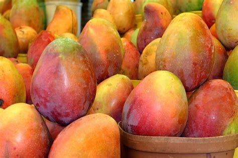 foto gratis fragole mirtilli