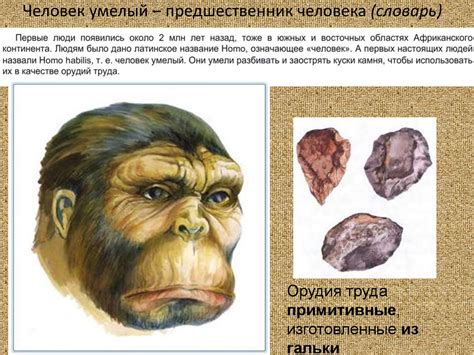 Как появился человек на Земле. 5 класс - презентация онлайн