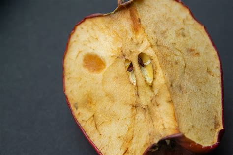 Moldy or rotten apple, closeup photo 36135426 Stock Photo at Vecteezy
