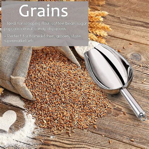 Ice Scoop, Small Stainless Steel Scoops Multi-purpose Utility Scoops