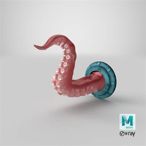 Octopus Tentacle Wall Art Sculpture 3D Model $39 - .gltf .obj .ma .max