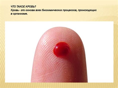 Заболевания по группам крови. Программы оздоровления - презентация онлайн
