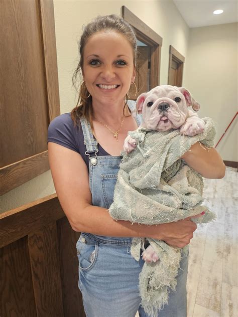 Mississippi English Bulldog Puppies for Sale -Bruiser Bulldogs
