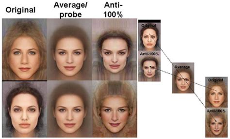 Average Face Attractive