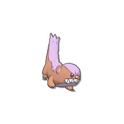 Yungoos sprites gallery | Pokémon Database