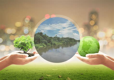 Uniting for Conservation: Our Collective Responsibility for a ...