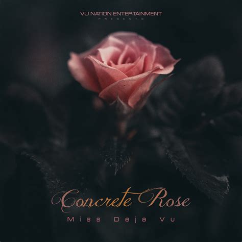 Miss Deja Vu (@vunationmusic) • Instagram photos and videos