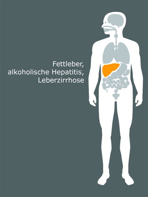 Cool and Clean - Alkohol und Gesundheitsrisiken