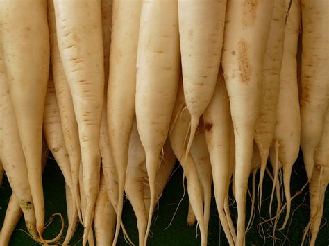 white radish how to cook