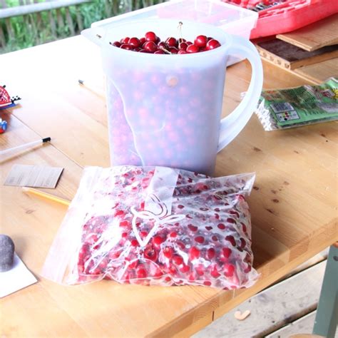 Cherry Season | 42 Things