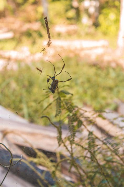 The Ultimate Cusco Travel Guide - Loving Life With Cass