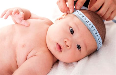 Moleira Do Bebe - Moleira do bebê: entenda todos os cuidados necessários [GUIA]