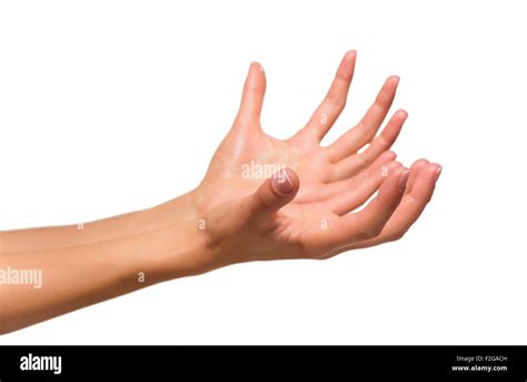 hand palm   res stock photography  images alamy