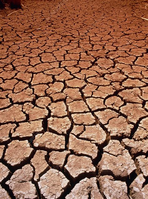 drought stock image  science photo library