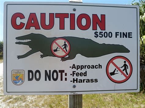 Alligator Listcrawler: Are You Making THIS Costly Mistake? Image 4