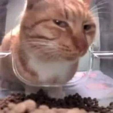 nhieu cai tao chua  noi dau tvmeme