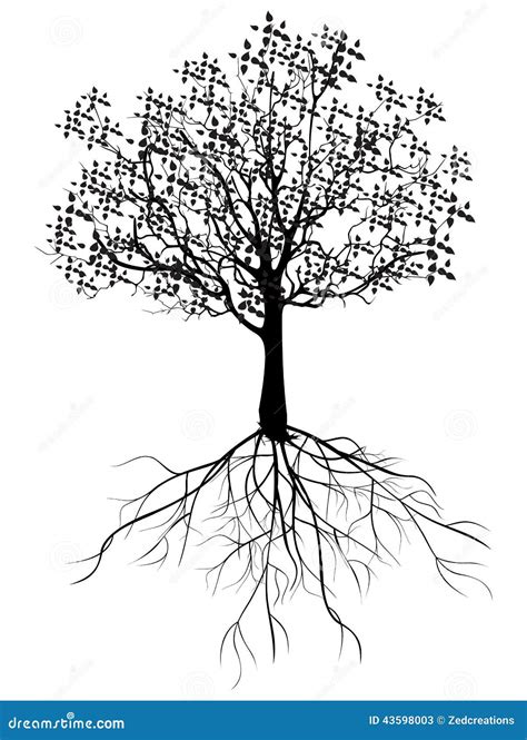 baum mit wurzeln stock abbildung illustration von konzept