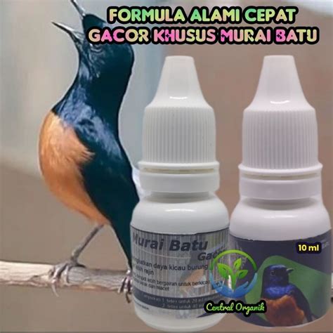 jual obat tetes alami burung murai batu biar gacor tidak serak shopee