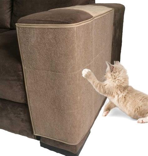 Sofá Com Tecido Resistente A Gatos - Melhor sofá para quem tem gatos: Top 5 Melhores Modelos com Tecidos ...