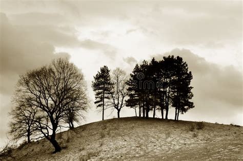 Heavy Fog stock photo. Image of grayish, winter, sunlight - 4739192