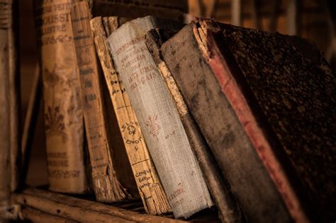 Experts Warn: Ignoring the Anon IB Archive Could Mean Disaster for the Future of [Specific Topic] - 3ujjxtw