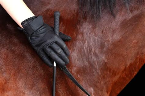 The Ultimate Guide To Horse Riding Gloves – Horse FactBook