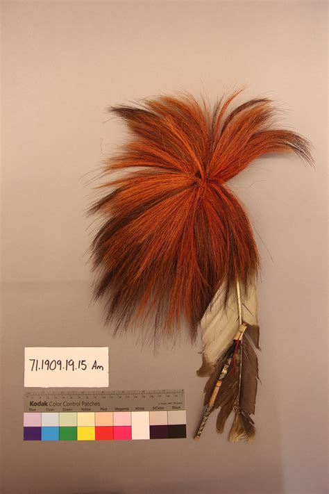 roach | Knowledge Sharing Platform