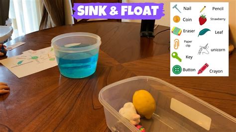 Sink Or Float Science Experiment