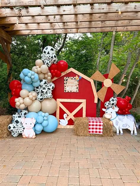 summer birthday party ideas fun unique themes farm birthday