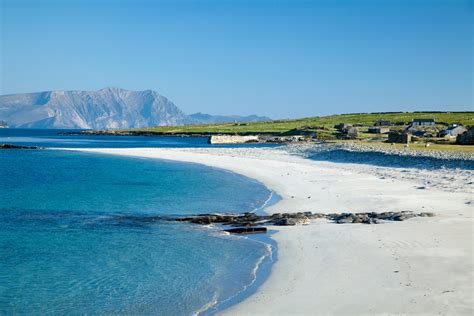 The Irish islands that look like paradise with swimming cows, crystal