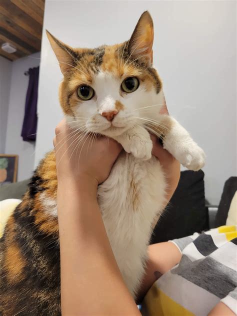 Keep my sweet girl in your thoughts, she’s spending the night at the