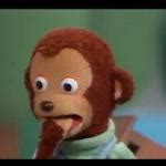 Surprised Monkey Meme Generator - Imgflip