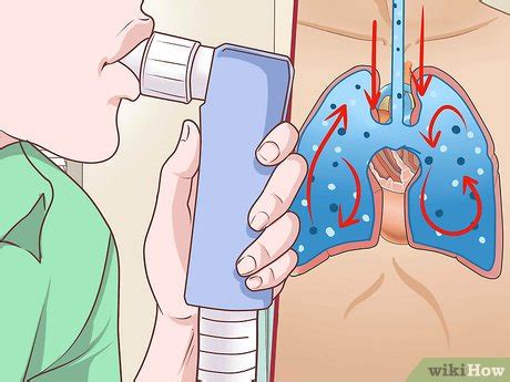 How to Measure Residual Lung Volume: 6 Steps (with Pictures)