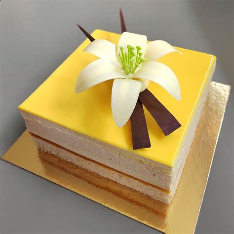 Mango Delight Entremet
