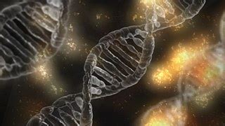 vector graphic dna gene genetic helix rna  image